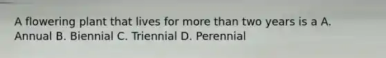 A flowering plant that lives for more than two years is a A. Annual B. Biennial C. Triennial D. Perennial
