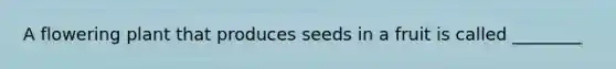 A flowering plant that produces seeds in a fruit is called ________