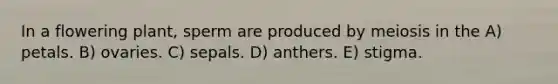 In a flowering plant, sperm are produced by meiosis in the A) petals. B) ovaries. C) sepals. D) anthers. E) stigma.