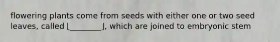 flowering plants come from seeds with either one or two seed leaves, called ⌊________⌋, which are joined to embryonic stem