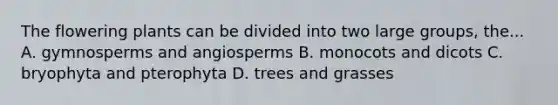 The flowering plants can be divided into two large groups, the... A. gymnosperms and angiosperms B. monocots and dicots C. bryophyta and pterophyta D. trees and grasses