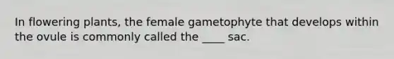 In flowering plants, the female gametophyte that develops within the ovule is commonly called the ____ sac.