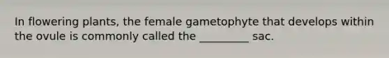 In flowering plants, the female gametophyte that develops within the ovule is commonly called the _________ sac.