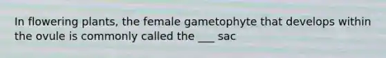 In flowering plants, the female gametophyte that develops within the ovule is commonly called the ___ sac