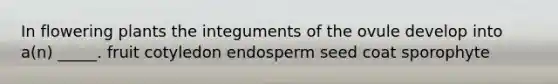 In flowering plants the integuments of the ovule develop into a(n) _____. fruit cotyledon endosperm seed coat sporophyte