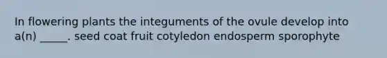 In flowering plants the integuments of the ovule develop into a(n) _____. seed coat fruit cotyledon endosperm sporophyte