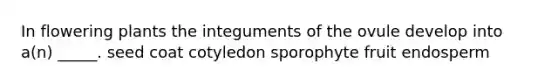 In flowering plants the integuments of the ovule develop into a(n) _____. seed coat cotyledon sporophyte fruit endosperm