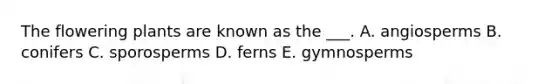 The flowering plants are known as the ___. A. angiosperms B. conifers C. sporosperms D. ferns E. gymnosperms