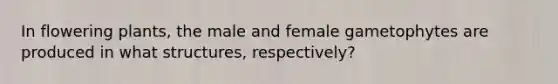 In flowering plants, the male and female gametophytes are produced in what structures, respectively?