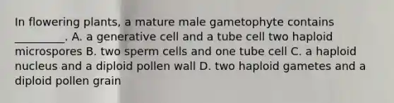 In flowering plants, a mature male gametophyte contains _________. A. a generative cell and a tube cell two haploid microspores B. two sperm cells and one tube cell C. a haploid nucleus and a diploid pollen wall D. two haploid gametes and a diploid pollen grain