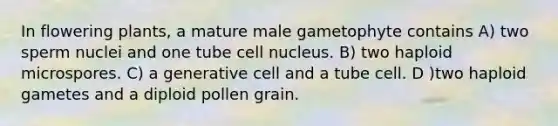 In flowering plants, a mature male gametophyte contains A) two sperm nuclei and one tube cell nucleus. B) two haploid microspores. C) a generative cell and a tube cell. D )two haploid gametes and a diploid pollen grain.