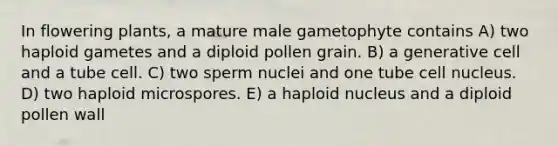 In flowering plants, a mature male gametophyte contains A) two haploid gametes and a diploid pollen grain. B) a generative cell and a tube cell. C) two sperm nuclei and one tube cell nucleus. D) two haploid microspores. E) a haploid nucleus and a diploid pollen wall