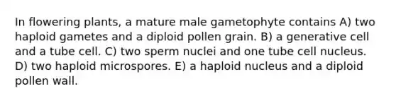 In flowering plants, a mature male gametophyte contains A) two haploid gametes and a diploid pollen grain. B) a generative cell and a tube cell. C) two sperm nuclei and one tube cell nucleus. D) two haploid microspores. E) a haploid nucleus and a diploid pollen wall.