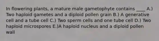 In flowering plants, a mature male gametophyte contains ____ A.) Two haploid gametes and a diploid pollen grain B.) A generative cell and a tube cell C.) Two sperm cells and one tube cell D.) Two haploid microspores E.)A haploid nucleus and a diploid pollen wall