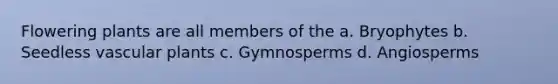 Flowering plants are all members of the a. Bryophytes b. Seedless vascular plants c. Gymnosperms d. Angiosperms