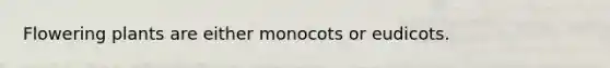 Flowering plants are either monocots or eudicots.