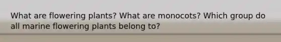 What are flowering plants? What are monocots? Which group do all marine flowering plants belong to?