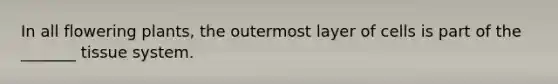 In all flowering plants, the outermost layer of cells is part of the _______ tissue system.