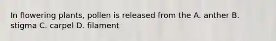 In flowering plants, pollen is released from the A. anther B. stigma C. carpel D. filament