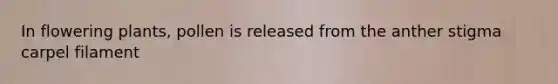 In flowering plants, pollen is released from the anther stigma carpel filament