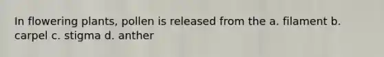 In flowering plants, pollen is released from the a. filament b. carpel c. stigma d. anther