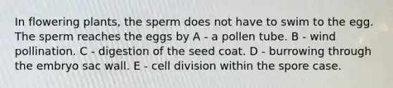 In flowering plants, the sperm does not have to swim to the egg. The sperm reaches the eggs by A - a pollen tube. B - wind pollination. C - digestion of the seed coat. D - burrowing through the embryo sac wall. E - cell division within the spore case.