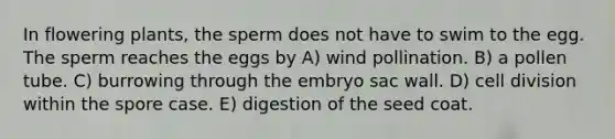 In flowering plants, the sperm does not have to swim to the egg. The sperm reaches the eggs by A) wind pollination. B) a pollen tube. C) burrowing through the embryo sac wall. D) <a href='https://www.questionai.com/knowledge/kjHVAH8Me4-cell-division' class='anchor-knowledge'>cell division</a> within the spore case. E) digestion of the seed coat.