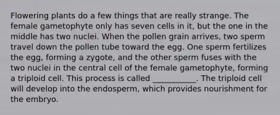 Flowering plants do a few things that are really strange. The female gametophyte only has seven cells in it, but the one in the middle has two nuclei. When the pollen grain arrives, two sperm travel down the pollen tube toward the egg. One sperm fertilizes the egg, forming a zygote, and the other sperm fuses with the two nuclei in the central cell of the female gametophyte, forming a triploid cell. This process is called ___________. The triploid cell will develop into the endosperm, which provides nourishment for the embryo.