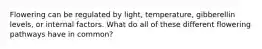 Flowering can be regulated by light, temperature, gibberellin levels, or internal factors. What do all of these different flowering pathways have in common?