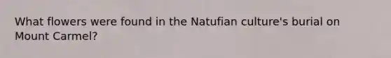 What flowers were found in the Natufian culture's burial on Mount Carmel?