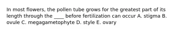 In most flowers, the pollen tube grows for the greatest part of its length through the ____ before fertilization can occur A. stigma B. ovule C. megagametophyte D. style E. ovary