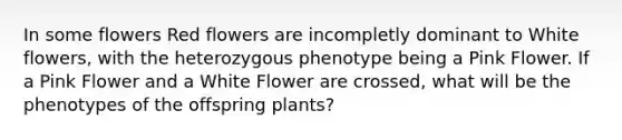 In some flowers Red flowers are incompletly dominant to White flowers, with the heterozygous phenotype being a Pink Flower. If a Pink Flower and a White Flower are crossed, what will be the phenotypes of the offspring plants?