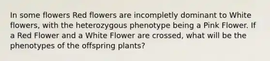 In some flowers Red flowers are incompletly dominant to White flowers, with the heterozygous phenotype being a Pink Flower. If a Red Flower and a White Flower are crossed, what will be the phenotypes of the offspring plants?