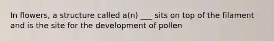 In flowers, a structure called a(n) ___ sits on top of the filament and is the site for the development of pollen