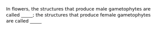 In flowers, the structures that produce male gametophytes are called _____; the structures that produce female gametophytes are called _____