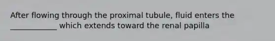 After flowing through the proximal tubule, fluid enters the ____________ which extends toward the renal papilla