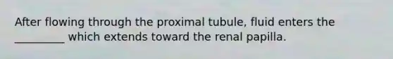 After flowing through the proximal tubule, fluid enters the _________ which extends toward the renal papilla.