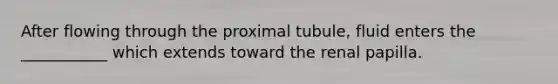 After flowing through the proximal tubule, fluid enters the ___________ which extends toward the renal papilla.