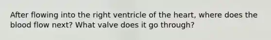 After flowing into the right ventricle of the heart, where does the blood flow next? What valve does it go through?