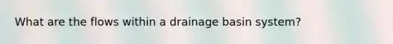 What are the flows within a drainage basin system?