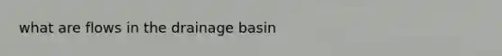 what are flows in the drainage basin