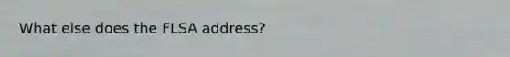 What else does the FLSA address?