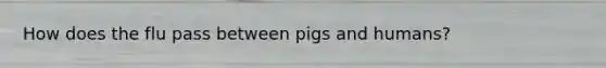 How does the flu pass between pigs and humans?