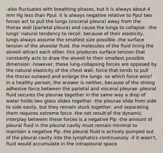 -also fluctuates with breathing phases, but it is always about 4 mm Hg less than Ppul. it is always negative relative to Ppul two forces act to pull the lungs (visceral pleura) away from the thorax wall (parietal pleura) and cause the lungs to collapse: -the lungs' natural tendency to recoil. because of their elasticity, lungs always assume the smallest size possible -the surface tension of the alveolar fluid. the molecules of the fluid lining the alveoli attract each other. this produces surface tension that constantly acts to draw the alveoli to their smallest possible dimension -however, these lung-collapsing forces are opposed by the natural elasticity of the chest wall, force that tends to pull the thorax outward and enlarge the lungs -so which force wins? in a healthy person, the answer is neither, because of the strong adhesive force between the parietal and visceral pleurae -pleural fluid secures the pleurae together in the same way a drop of water holds two glass slides together -the pleurae slide from side to side easily, but they remain stuck together, and separating them requires extreme force -the net result of the dynamic interplay between these forces is a negative Pip -the amount of pleural fluid in the pleural cavity must remain minimal to maintain a negative Pip -the pleural fluid is actively pumped out of the pleural cavity into the lymphatics continuously -if it wasn't, fluid would accumulate in the intrapleural space