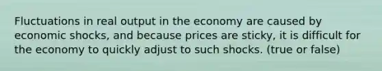 Fluctuations in real output in the economy are caused by economic shocks, and because prices are sticky, it is difficult for the economy to quickly adjust to such shocks. (true or false)