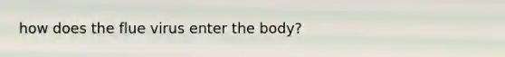 how does the flue virus enter the body?
