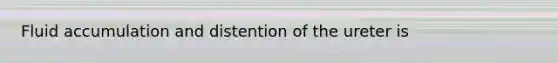 Fluid accumulation and distention of the ureter is