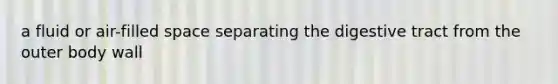 a fluid or air-filled space separating the digestive tract from the outer body wall