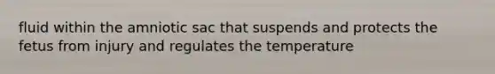 fluid within the amniotic sac that suspends and protects the fetus from injury and regulates the temperature