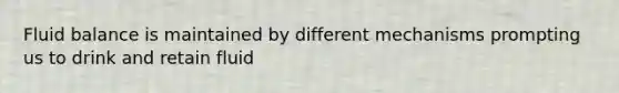 Fluid balance is maintained by different mechanisms prompting us to drink and retain fluid